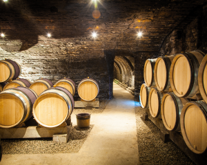 tonneaux - domaine viticole vente de vin Cépages Gamay & cépages Chardonnay Denicé Beaujolais