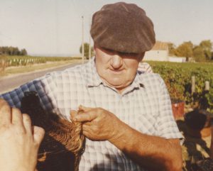 grand pere +- domaine viticole vente de vin Cépages Gamay & cépages Chardonnay Denicé Beaujolais