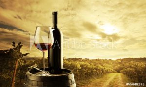 vin bouteille domaine viticole vente de vin Cépages Gamay & cépages Chardonnay Denicé Beaujolais