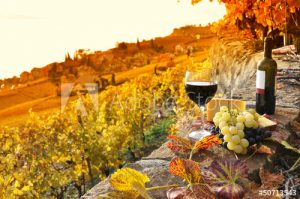vin bouteille