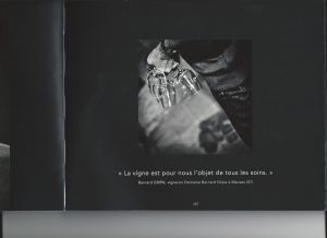 vin domaine viticole vente de vin Cépages Gamay & cépages Chardonnay Denicé Beaujolais