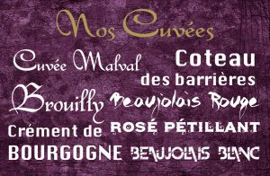 carte visite domaine viticole vente de vin Cépages Gamay & cépages Chardonnay Denicé Beaujolais