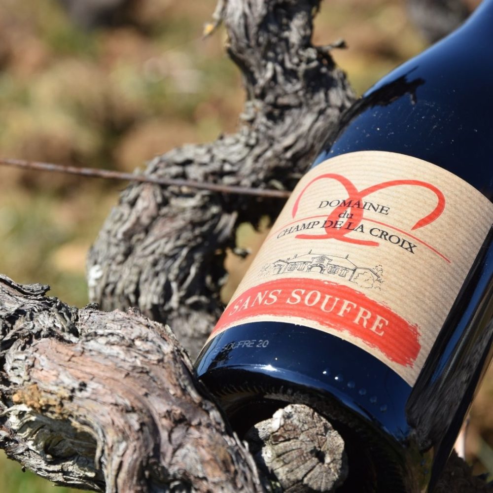 Domaine du champ de la croix