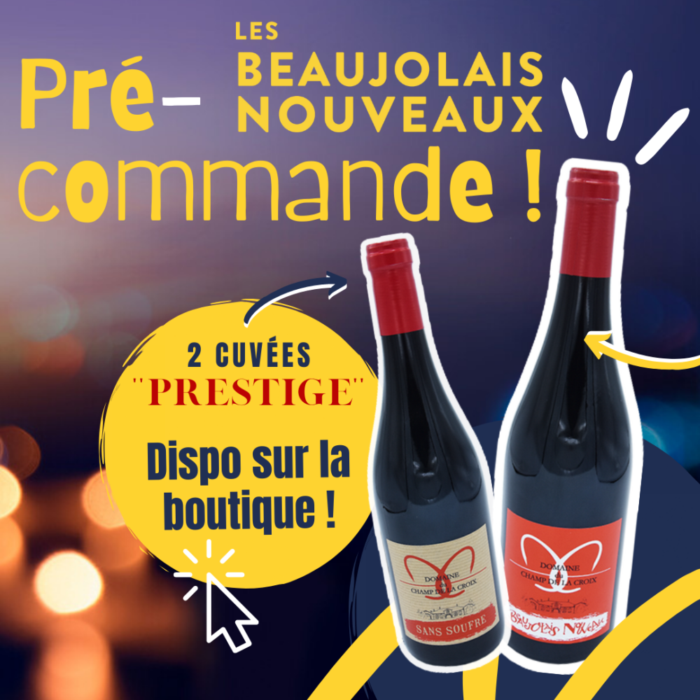 Domaine du champ de la croix - beaujolais nouveau - cuvée sans souffre - Denicé