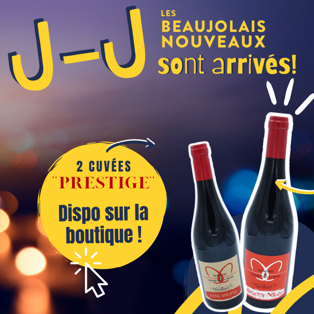 Domaine du champ de la croix - beaujolais nouveau - cuvée sans souffre - Denicé - portes ouvertes