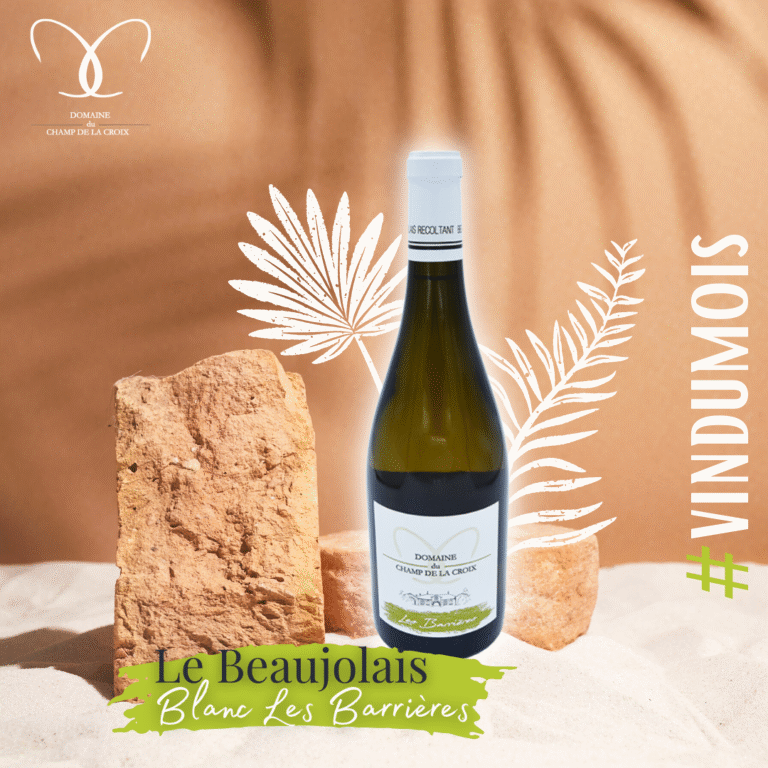 Le vin du mois – Août 2022