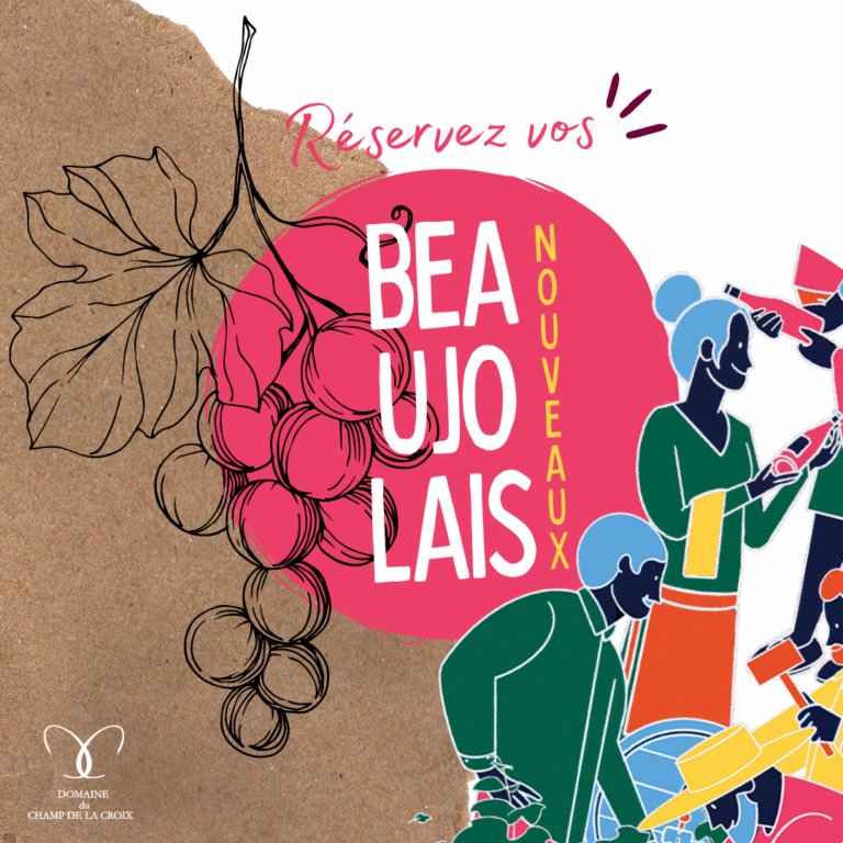 Les Beaujolais Nouveaux arrivent !