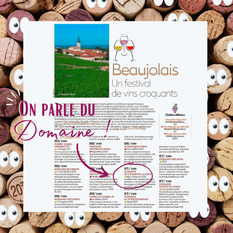 Retrouvez-nous dans La Revue du vin de France de Juillet 2022