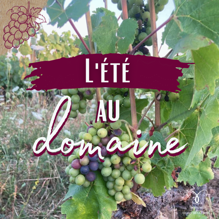 L’été au domaine