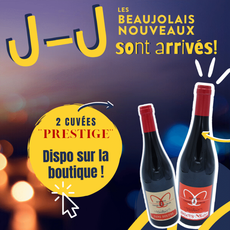 Beaujolais Nouveaux : Jour J !